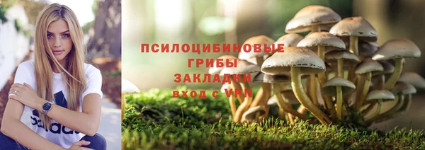 мет Белокуриха