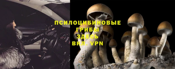 МДПВ Аркадак