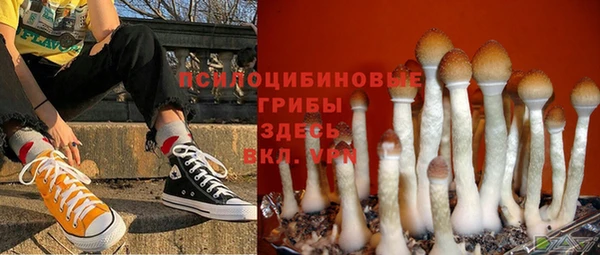 молекула духа Баксан