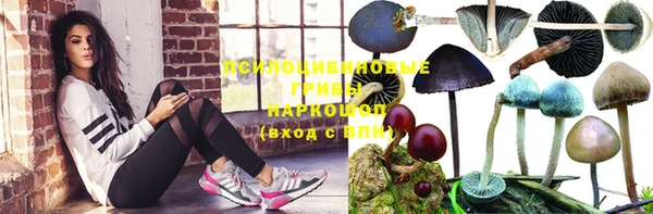 молекула духа Баксан