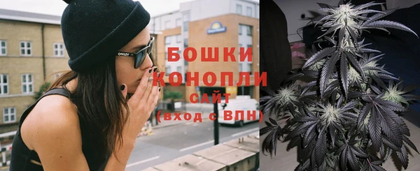 PSILOCYBIN Балахна